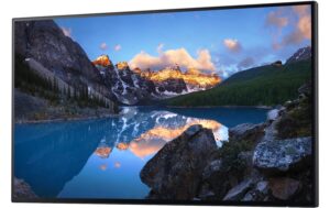 Dell Monitor UltraSharp 24 U2424H ohne Standfuss