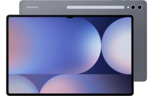 Samsung Galaxy Tab S10 Ultra 5G 512 GB Grau