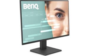 BenQ Monitor GW2491