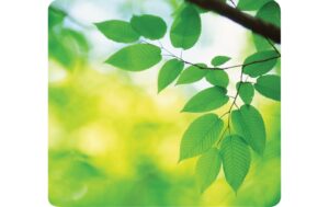 Fellowes Bedruckte Mausmatte Blätter